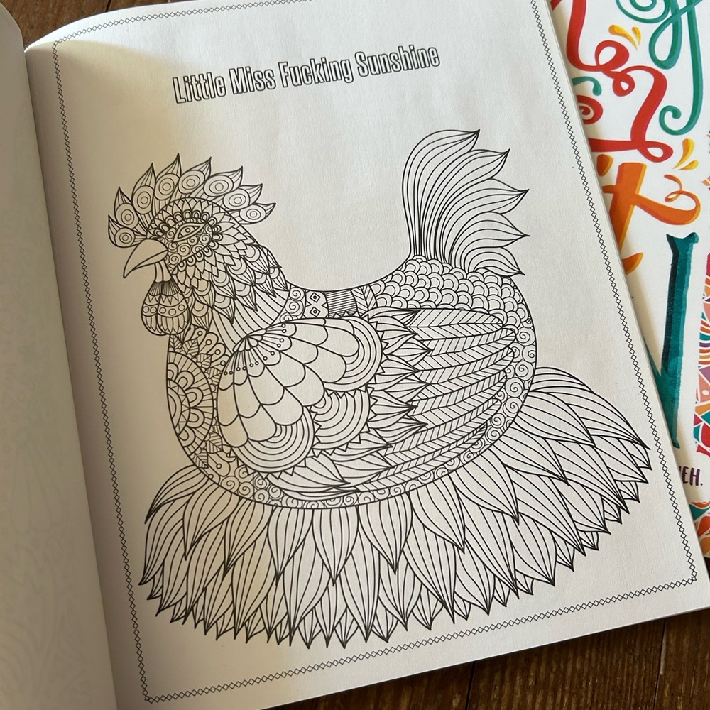 Funny Adult Coloring Books - Picture 4 of 7